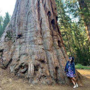 Meet your Posher, Gianze